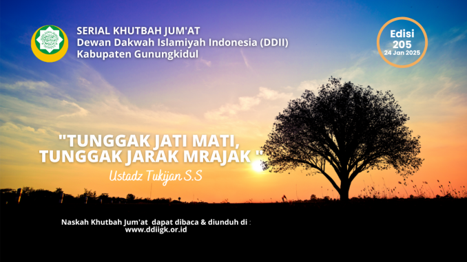 Edisi 205